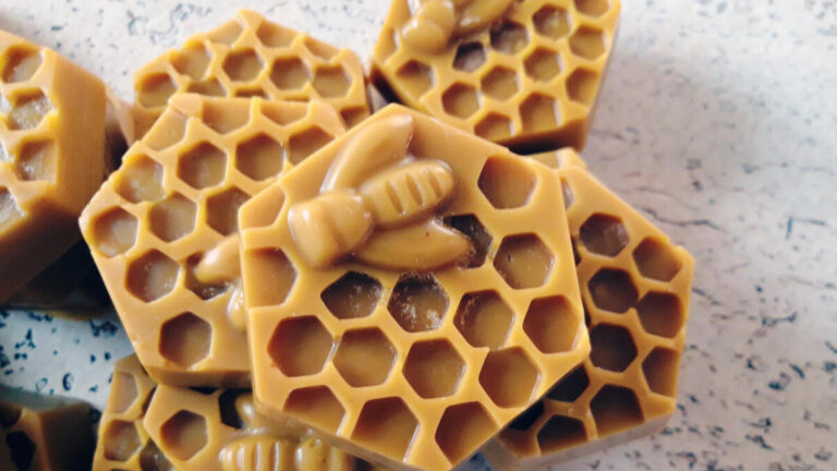 Produkt: Naturalny wosk pszczeli w kształcie plastra miodu z pszczółką - sklep pasiekasmakulskich.pl