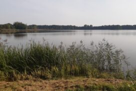 Park Krajobrazowy Dolina Baryczy