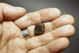 Propolis