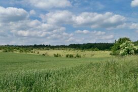 Wakacje na wsi: cisza, spokój i pobyt blisko natury