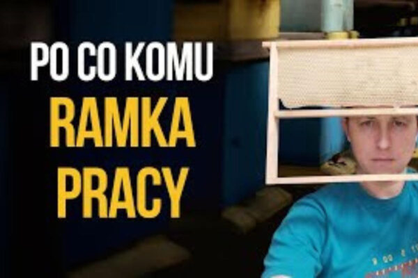 ramka pracy